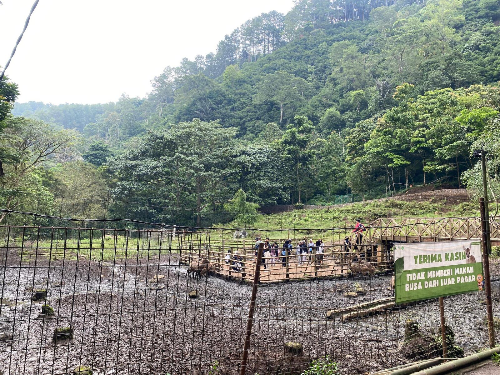 Taman Hutan Raya 2 Taman Hutan Raya 2