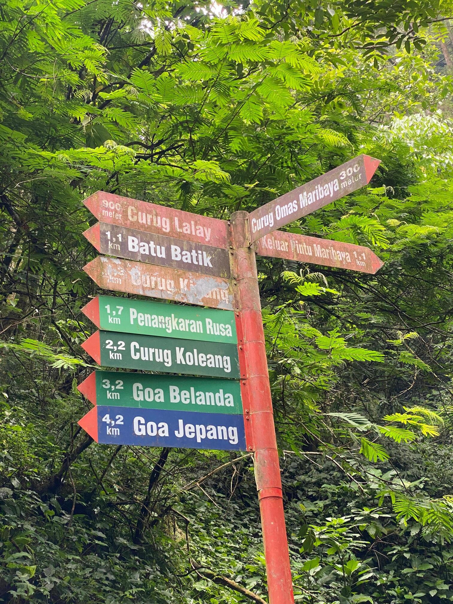 Taman Hutan Raya 1 Taman Hutan Raya 1